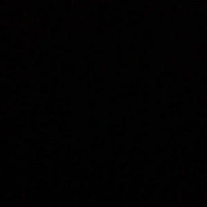 Meet your Posher, Lily